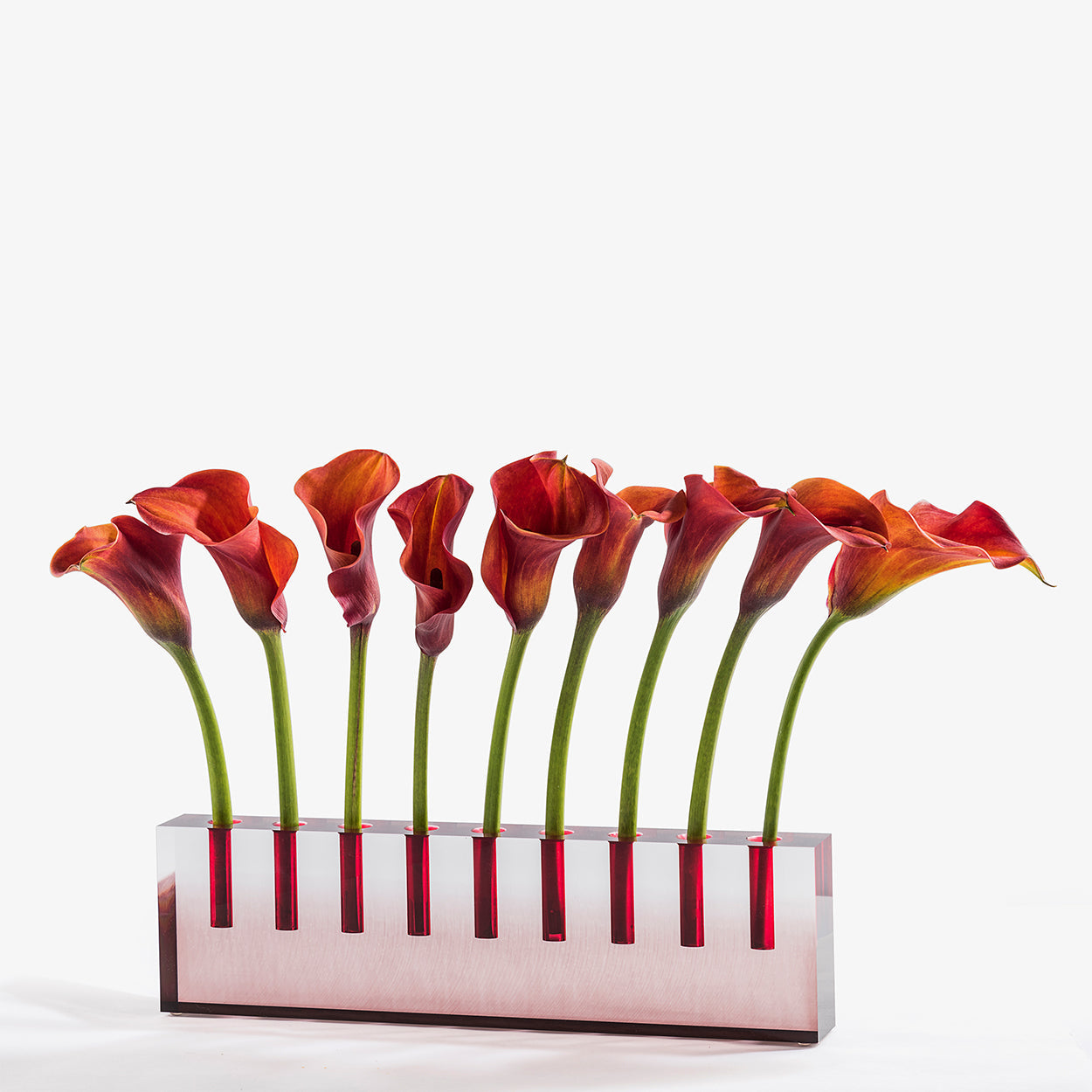 Oil Menorah Burgundy