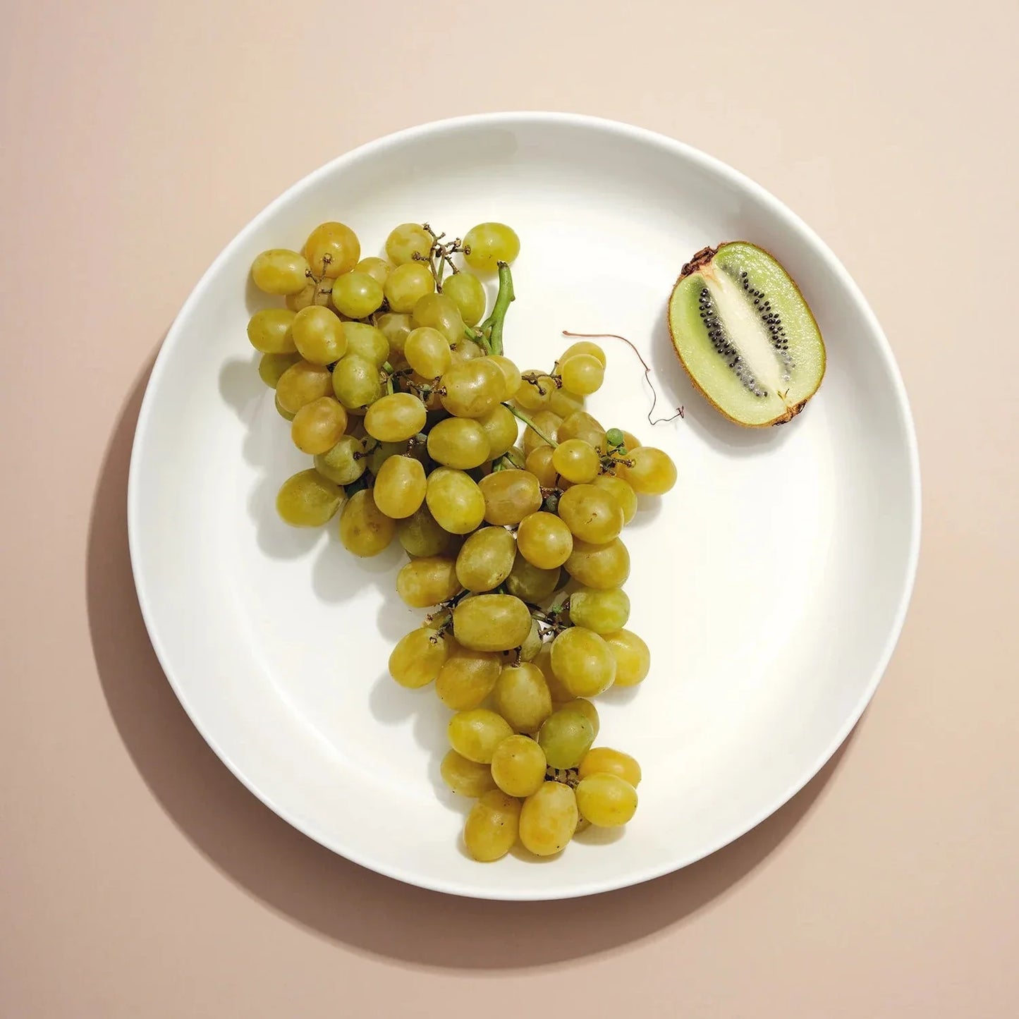 Shallow Serving Bowl - White