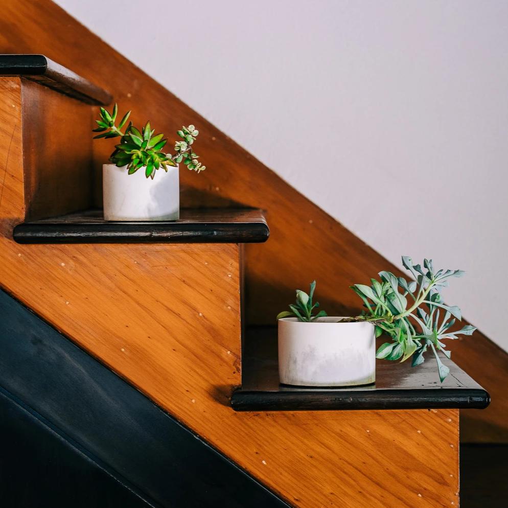 4 inch and 5 inch concrete vessels holding plants on a staircase.