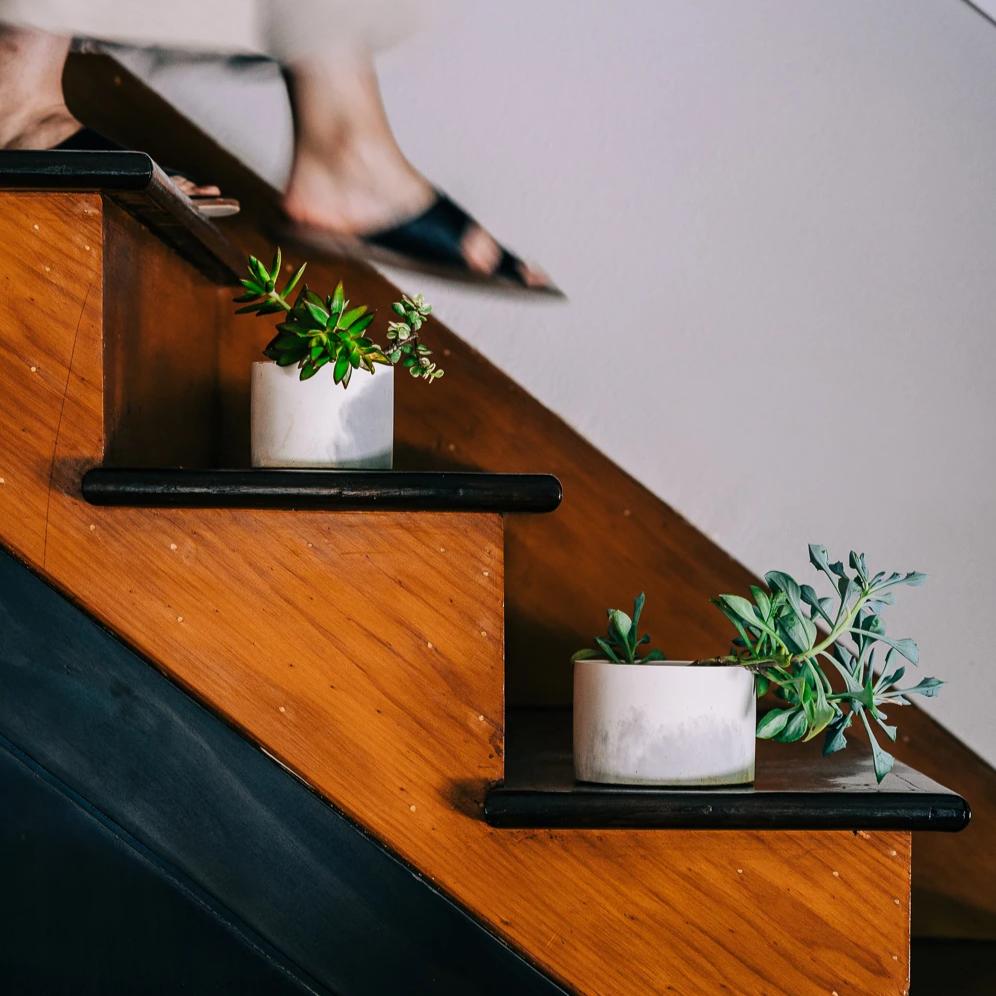 5 inch concrete vessel in grey and white on staircase with plants.
