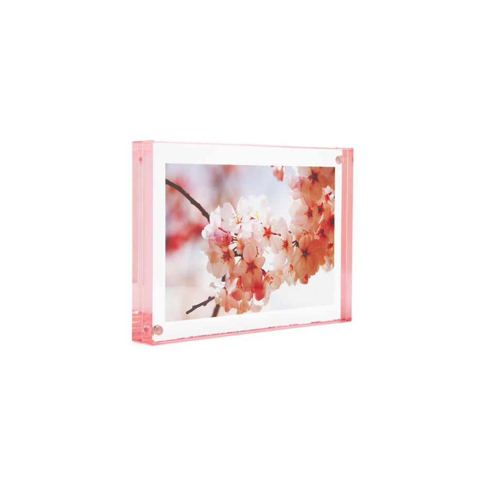 Color Edge Magnet Frame - Rose 5" x 7" - Set of 3