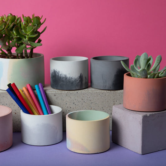 Variety of 4 inch and 5 inch concrete vessels holding plants and pens.