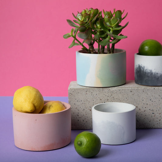 5 inch concrete vessel in various colors with plants and decorative fruit.