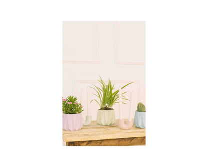 Concrete Small Succulent Planter- Blue, 3.5x4 Inch