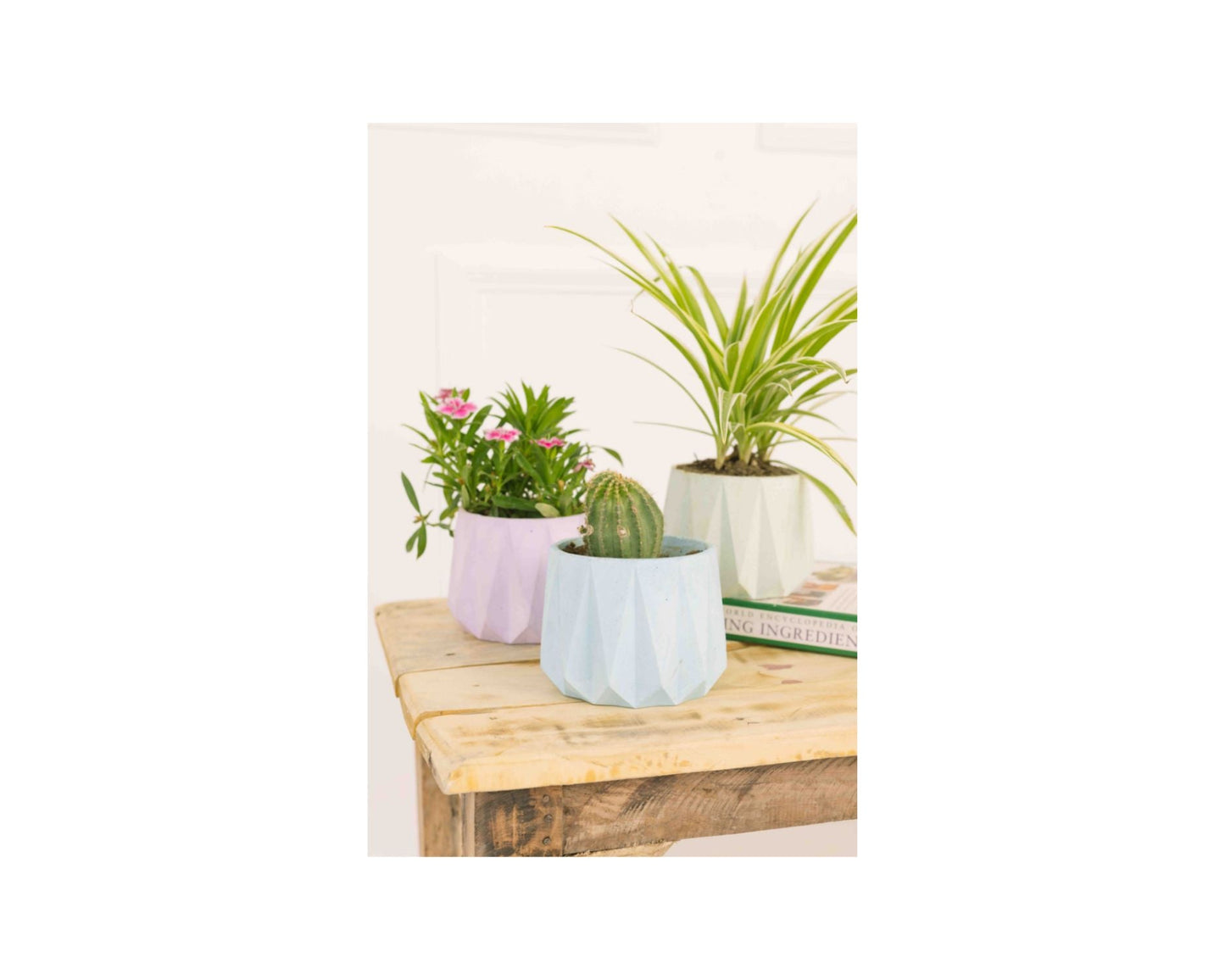 Concrete Small Succulent Planter- Blue, 3.5x4 Inch