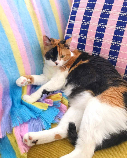 Santiago Grid Pillow - Royal and Baby Pink