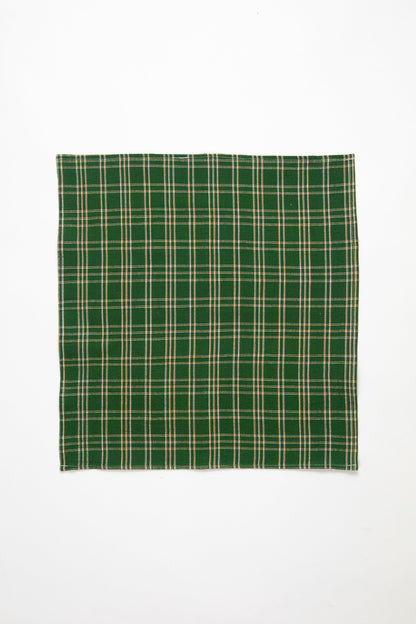 Chiapas Plaid Forest Napkins