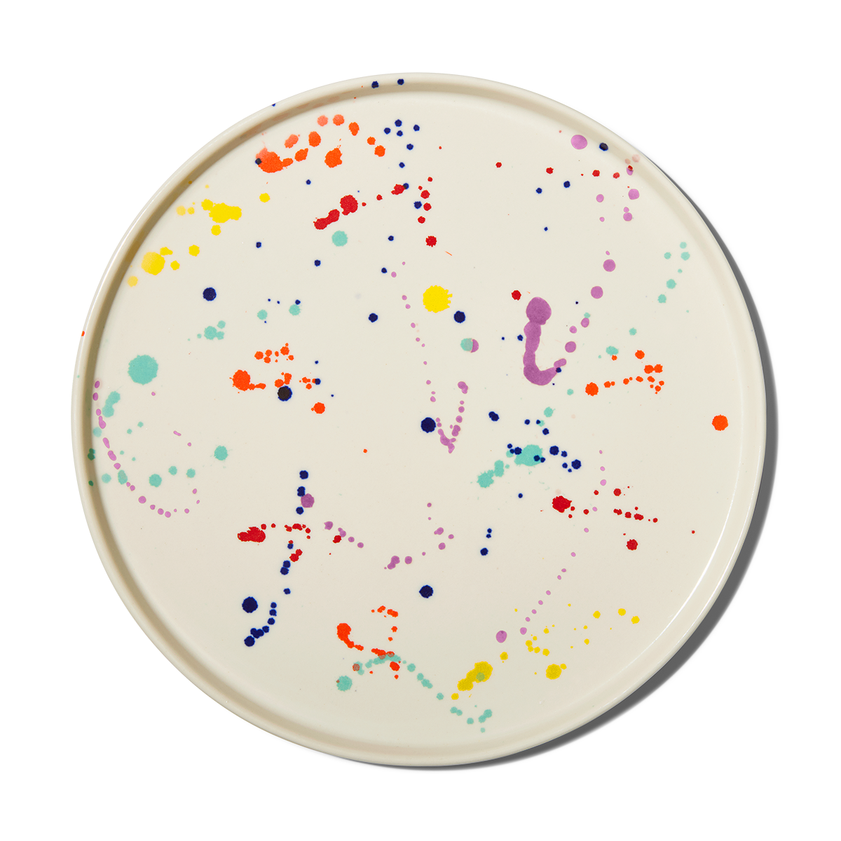 12" Dinner Plate in Confetti