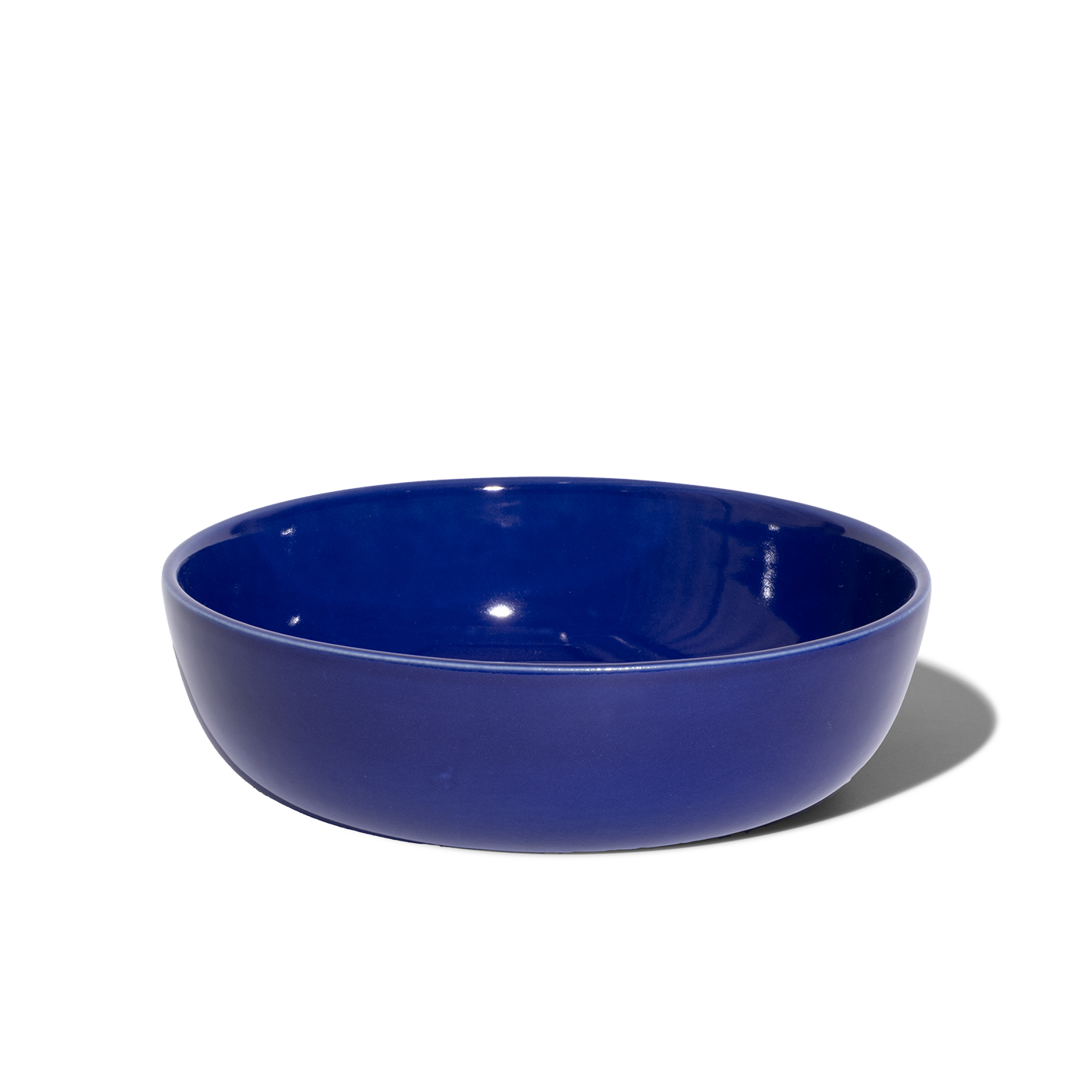 Large Pet Bowl in Azul