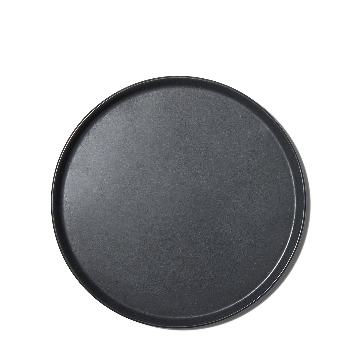 10" Everyday Plate in Slate