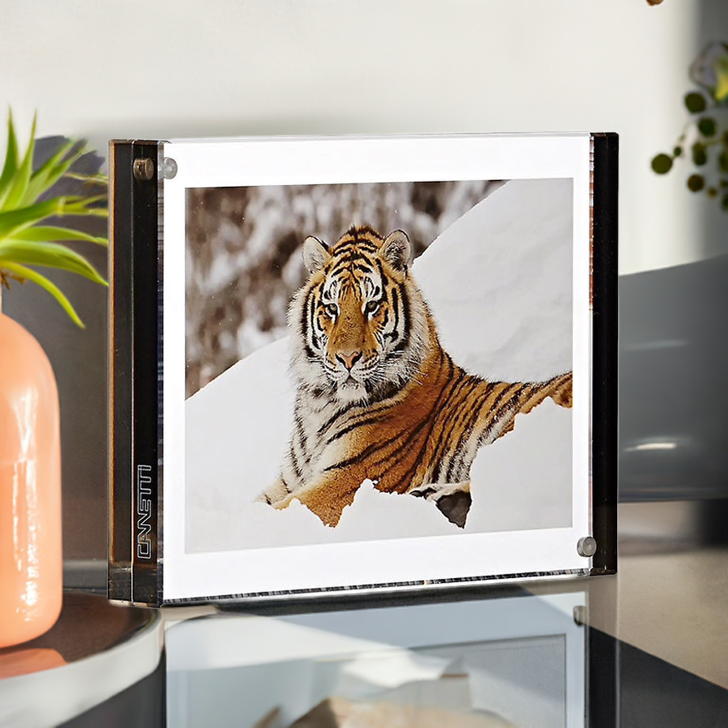 Color Edge Acrylic Magnet Frame in Graphite