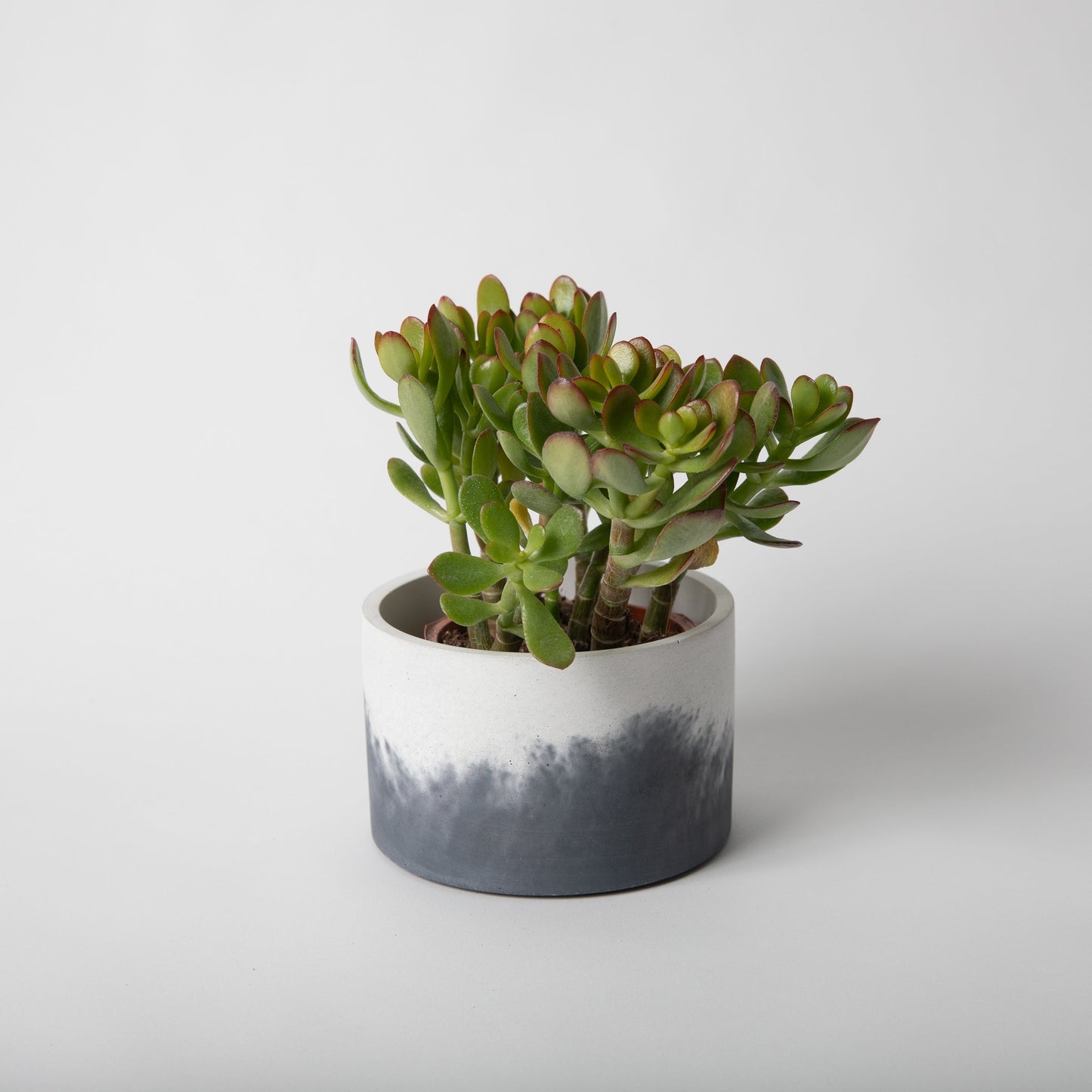5" Vessels