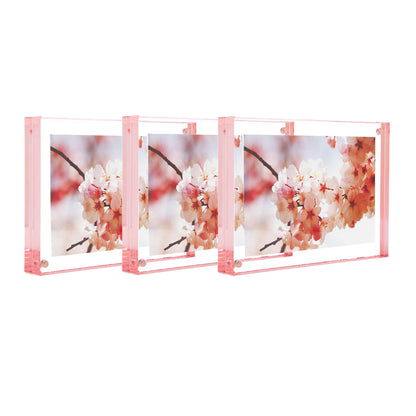Color Edge Magnet Frame - Rose 5" x 7" - Set of 3